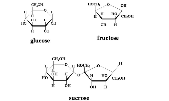 Simple Sugars Molecular Structure