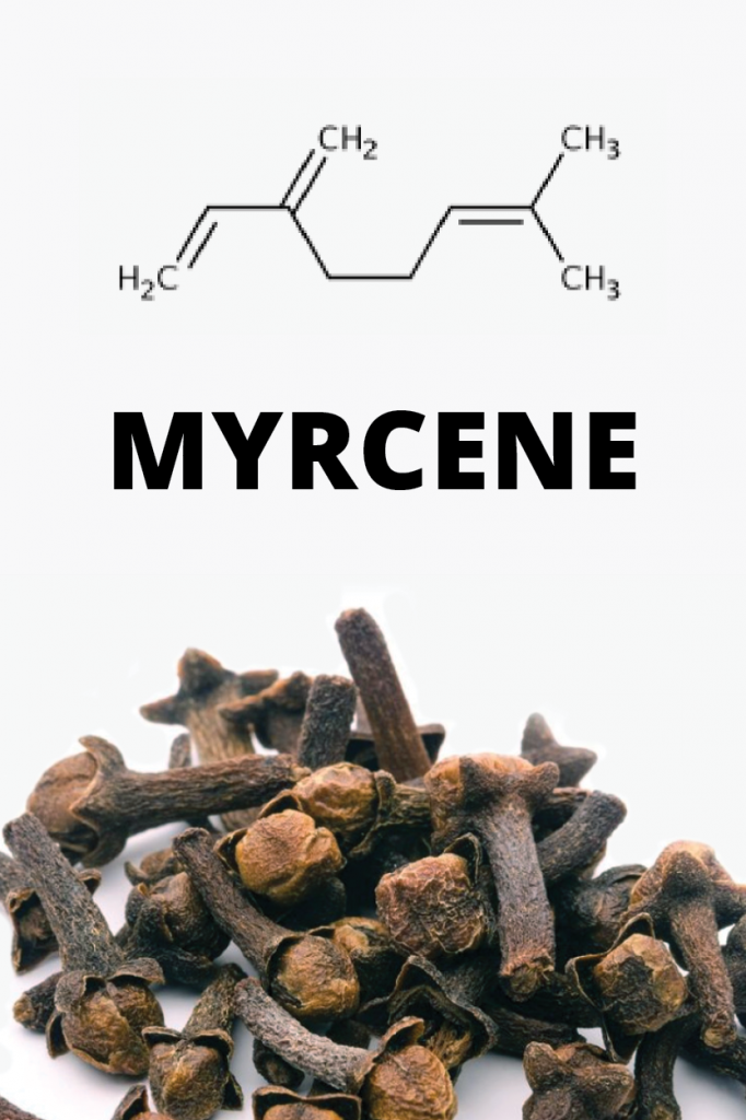 Myrcene, terpene molecular structure