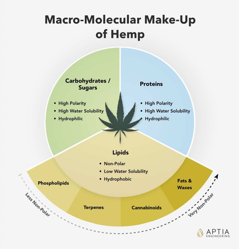 Infographic illustrating categories of molecular compounds in hemp